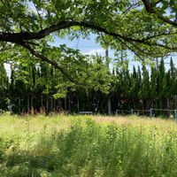 横井第9号街区公園 - 投稿画像1
