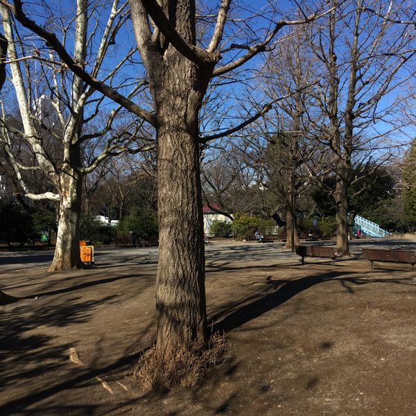 新井薬師公園 - トップ画像