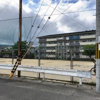 深田公園 - 投稿画像3