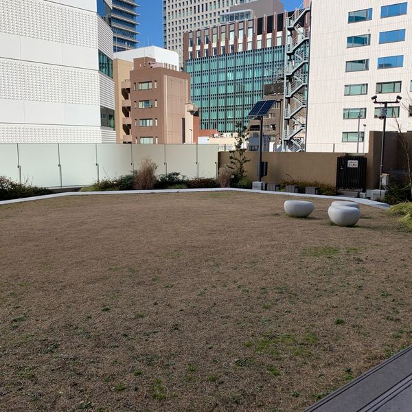 水谷橋公園 - トップ画像