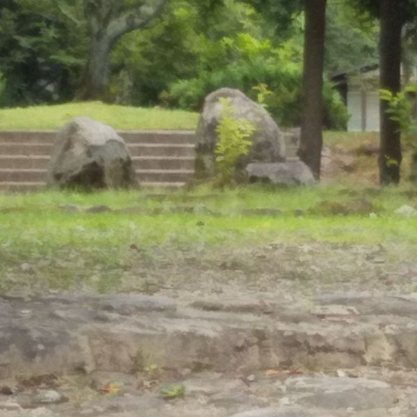 神宮外苑公園 - おすすめ画像