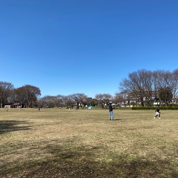 東村山中央公園 - おすすめ画像