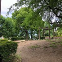 駒形公園 - 投稿画像2