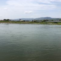 桂川緑地上野橋東詰 - 投稿画像2
