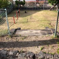 深谷第1幼児公園 - 投稿画像2