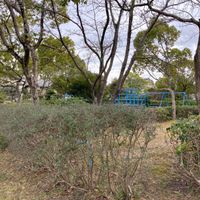 丸山第2号街区公園 - 投稿画像0