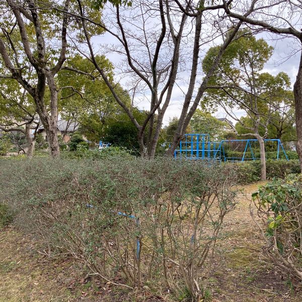丸山第2号街区公園 - おすすめ画像
