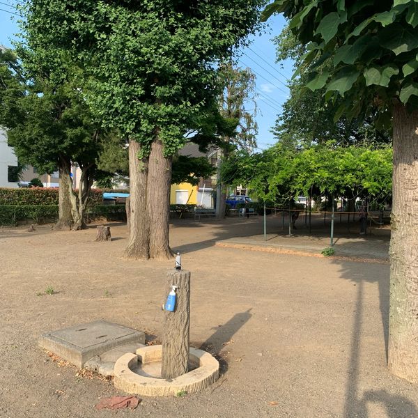 本庄市駅南公園 - トップ画像