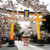 平野神社 - トップ画像