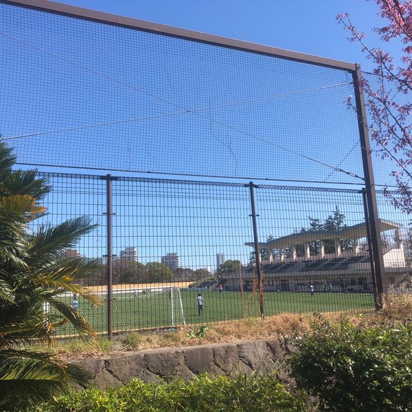 保土ケ谷公園 サッカー場 - おすすめ画像