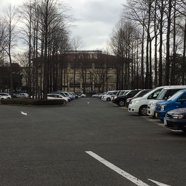 彩の森入間公園 彩の森入間公園駐車場 - トップ画像