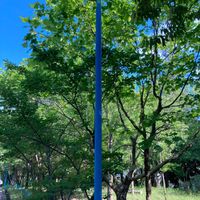 丸山第1号緑地 - 投稿画像3