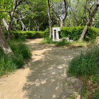 古江公園 - 投稿画像0