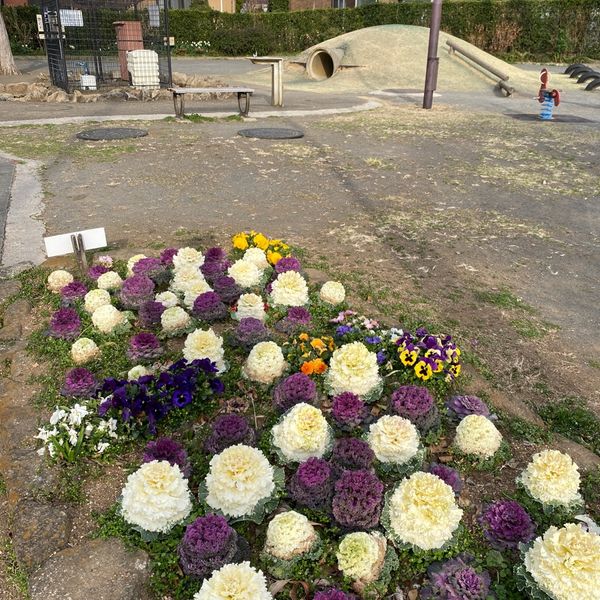 喜多見まちかど公園 - おすすめ画像