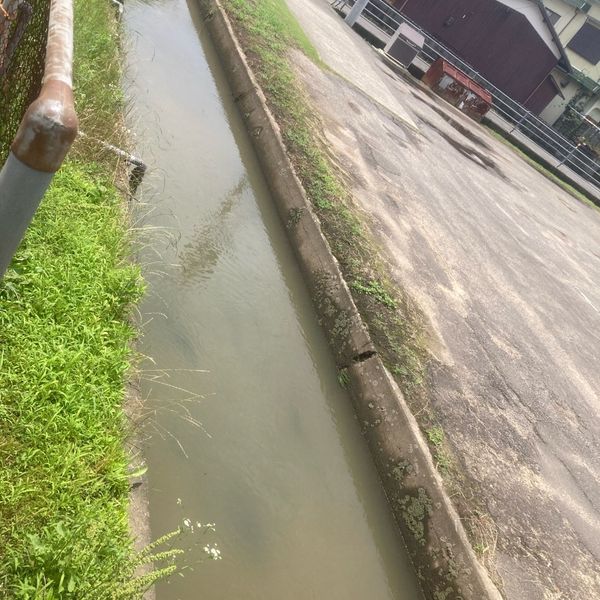 幸地区　吉海小学校横の用水路 - おすすめ画像