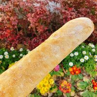 체스트 후나보리 (チェスト船堀) - 投稿画像1