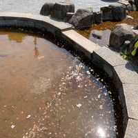 マロッコ公園 - 投稿画像1