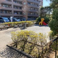 久本おしどり公園 - 投稿画像2