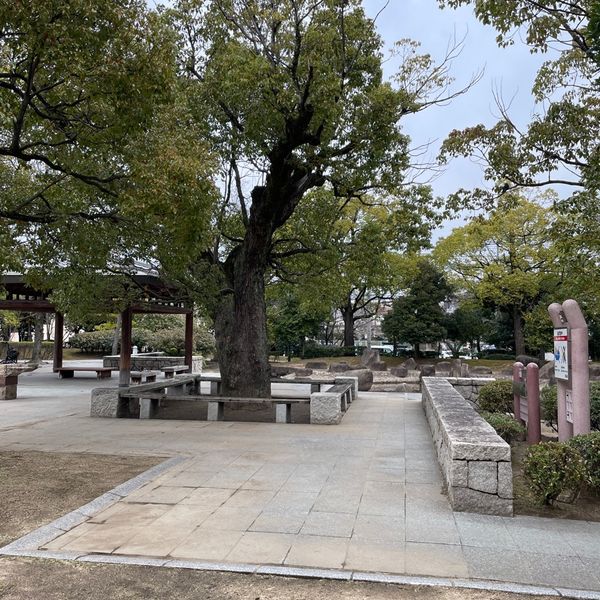緑町公園 - トップ画像