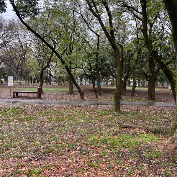 光が丘公園 ちびっ子広場 - トップ画像