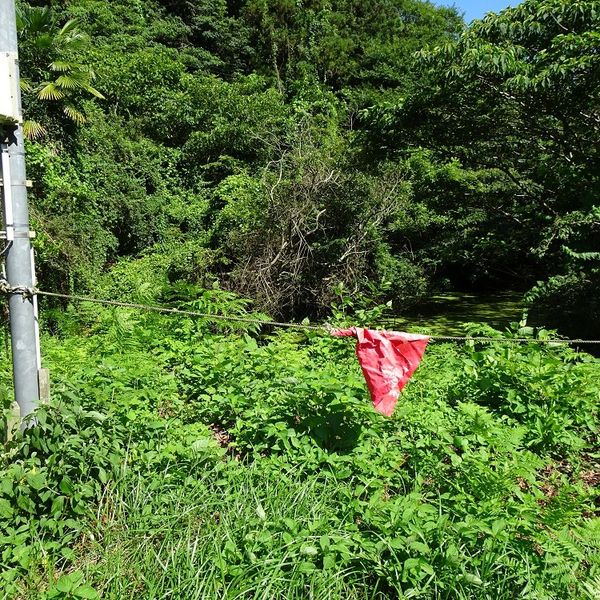 野々江坂へ向かう峠にある池【野々江地区】 - おすすめ画像