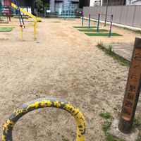 さくら児童遊園 - 投稿画像3