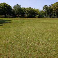 佐保台第4号街区公園 - 投稿画像2