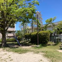 しいのき公園 - 投稿画像3