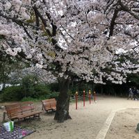 二見公園 - 投稿画像0
