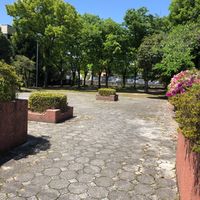 野辺公園 - 投稿画像0