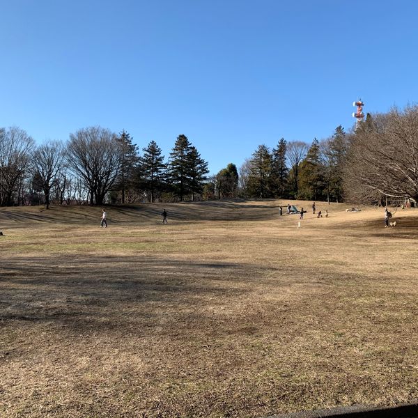 大泉中央公園 - おすすめ画像