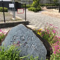 笠井 - 投稿画像0