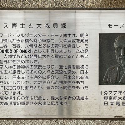 東京大学講義録 財政学講義案 （１）（３） 貝塚啓明先生 東大出版会教材部 大森貝塚（国指定史跡） | MEQQE（めっけ）