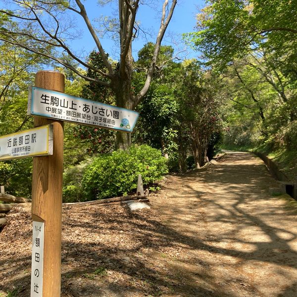 枚岡公園 - おすすめ画像