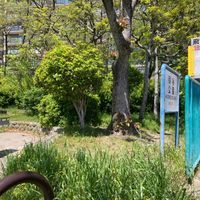 引谷公園 - 投稿画像1