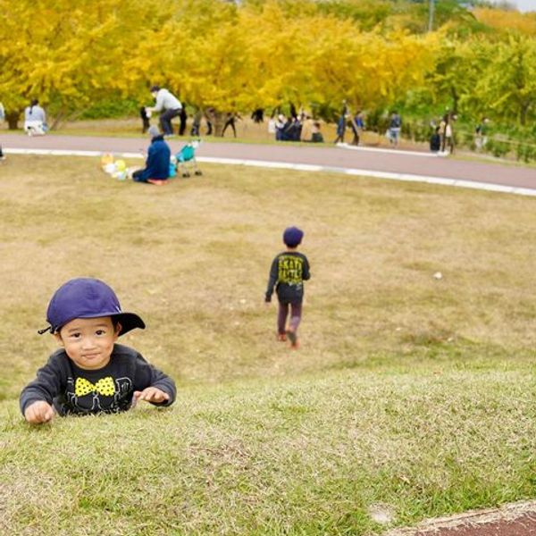 祖父江ぎんなんパーク - おすすめ画像