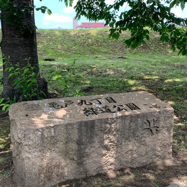 亀戸九丁目緑道公園 - トップ画像