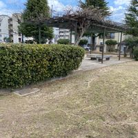 柴山東 - 投稿画像2