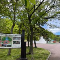 入江運動公園 - 投稿画像0