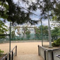 内田公園 - 投稿画像3