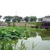 蛇池（じゃいけ）神社 - トップ画像