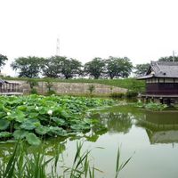 蛇池（じゃいけ）神社 - 投稿画像0