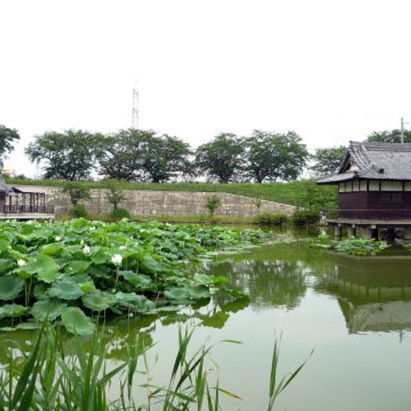 蛇池（じゃいけ）神社 - おすすめ画像