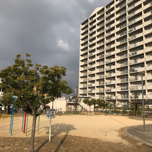 常磐町いわぎく公園 - トップ画像