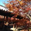 東福寺 - トップ画像