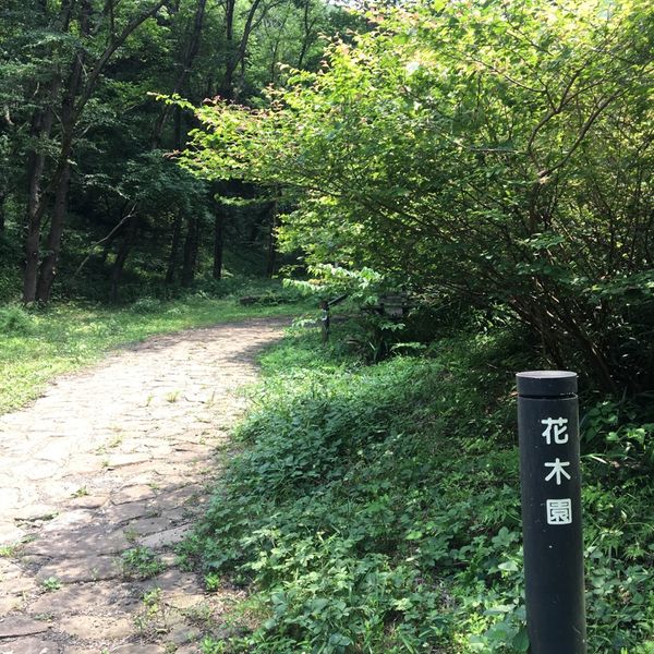 四季の森公園 花木園 - トップ画像
