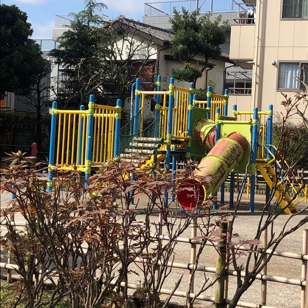 新堀しゃくやく公園 - トップ画像