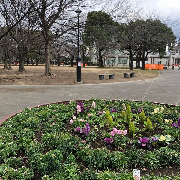 東綾瀬公園 - おすすめ画像