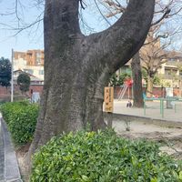 富小路殿 - 投稿画像1