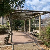 琵琶台第4児童公園 - 投稿画像2